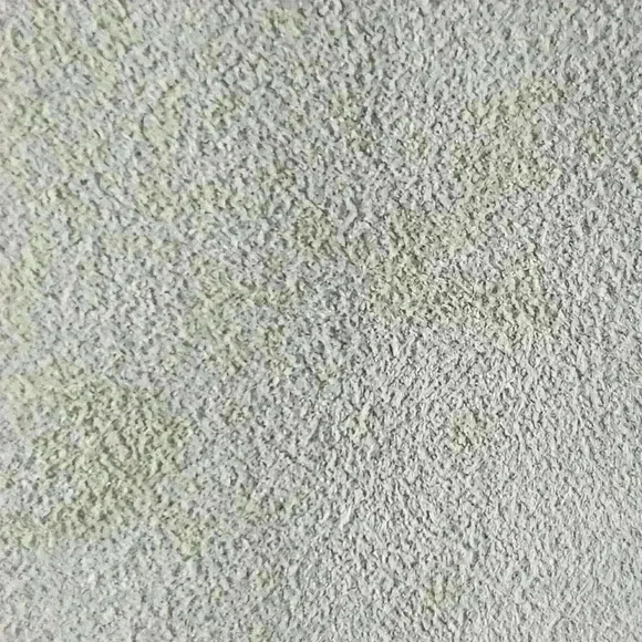 NWOTEtcetera Size 6‎ Very Soft Warm Beige Lamb Suede Top Spaghetti Straps Hi Low - Picture 5 of 12